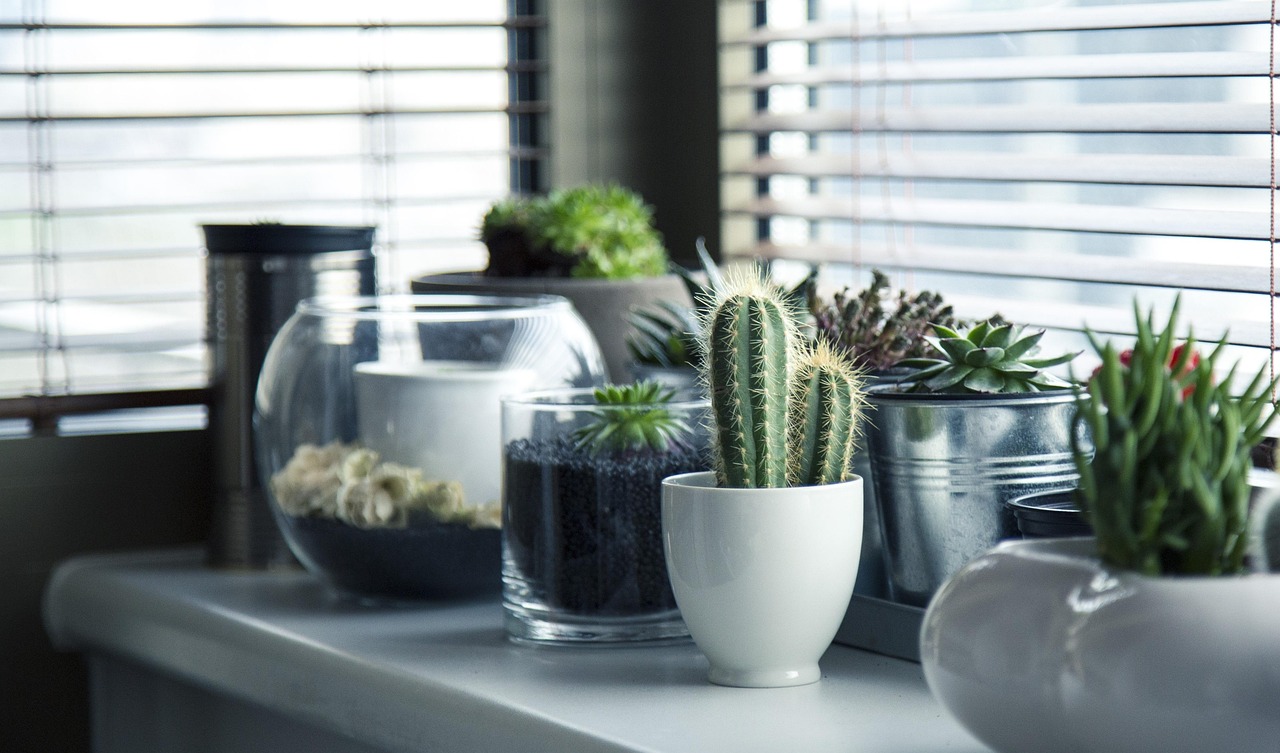 Creatieve wanddecoratie met antieke potten en planten. Creatieve wanddecoratie met antieke potten en planten.