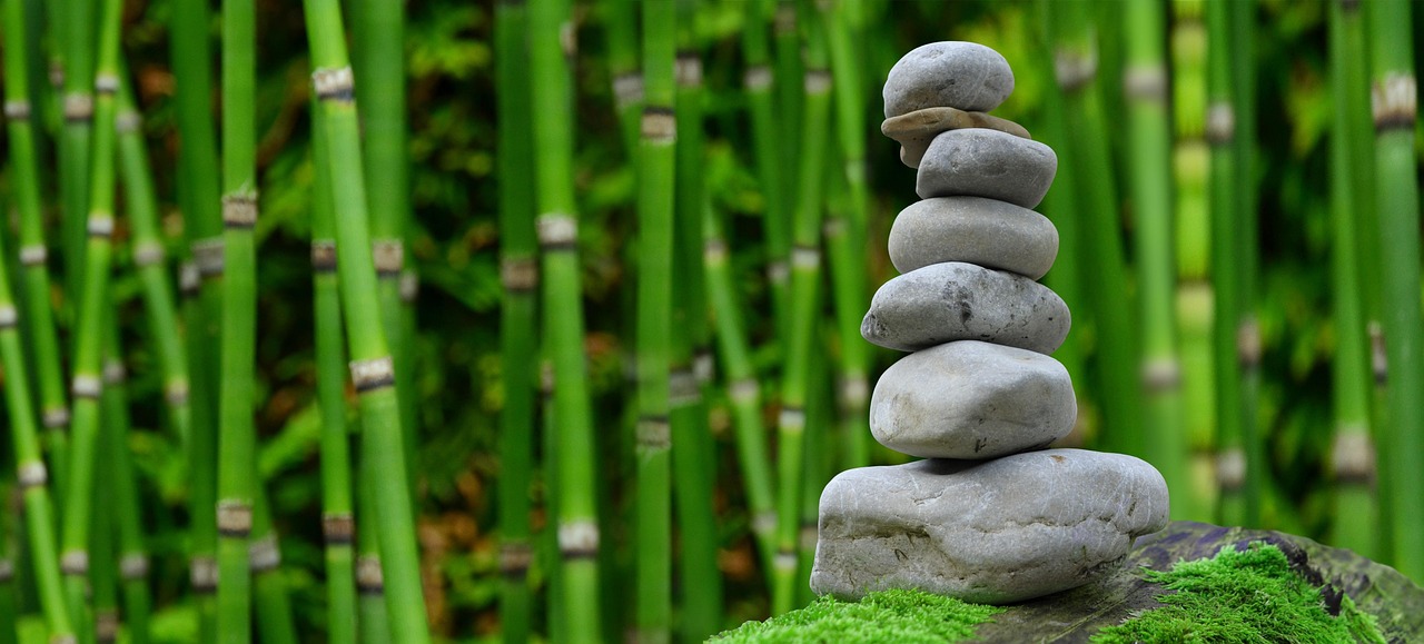 Minimalistische waterpartij in zen stijl tuin.